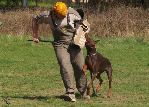 Training 4. 4. 2007